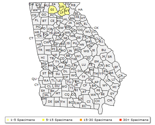 The Georgia range of Rhus typhina